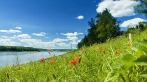 СИТИМ СОЙУУС ДАЛБАР ХОТУТТАРА САЙЫНЫ УРУЙДУУЛЛАР