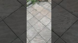 ПОП ИТ АРКАДИЙ ЗАНИМАЕТСЯ ХОЗЯЙСТВОМ ПО ДОМУ😱
ДИМА ДАЛ АПКАДИЮ КОНФЕТУ 😋