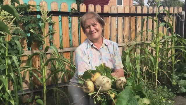 Выросла репа большая пребольшая смотреть онлайн