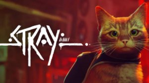 Котик в стране роботов: Stray online
