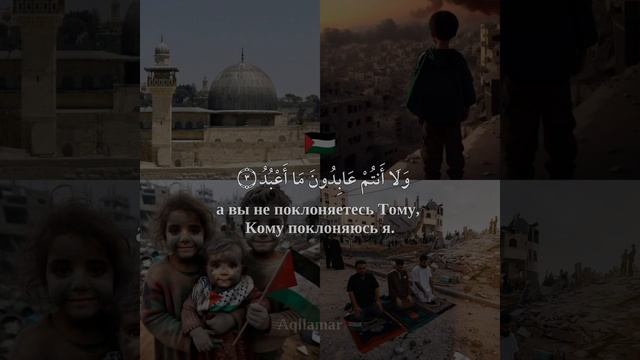 Сура 109 «Аль-Кафирун» («Неверующие») смотреть онлайн