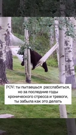 Расслабишься тут