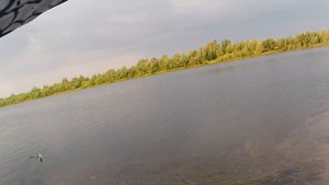 В плохую погоду за хищником и я его поймал .