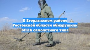 В Егорлыкском районе Ростовской области обнаружили БПЛА самолетного типа