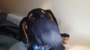 ЕДЕМ НА ДВУХ ЭТАЖНОМ ПОЕЗДЕ 🚂? /Влог от Ватсона