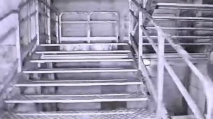 Backrooms 5 - Found footage #4-4