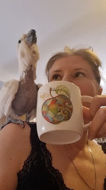 кто в доме хозяин смотреть онлайн