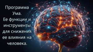 Программа ума. Её функции и инструменты для снижения ее влияния на человека