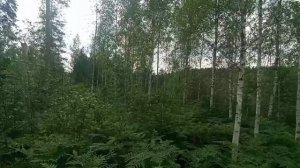 ШОК! Не ожидал поймать столько