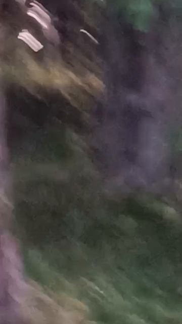 Арбалет лупит