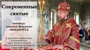 "Сокровенные святые". Епископ Венёвский Феодорит.