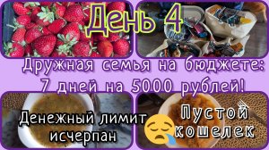 Дружная семья на бюджете//день 4