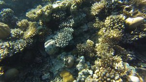 Поплаваем 0.4