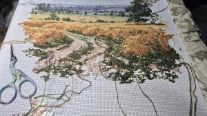 Вышивка крестиком. Ну что готовы бэкстич вышивать вы свои, а я свой