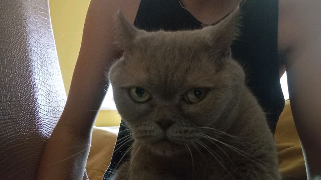 ещё дымочка) слетело смотреть онлайн