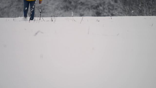 6478039_Snow_Winter_3840x2160