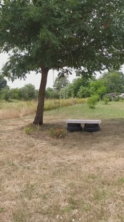 Ясень и орех. Большая разница!