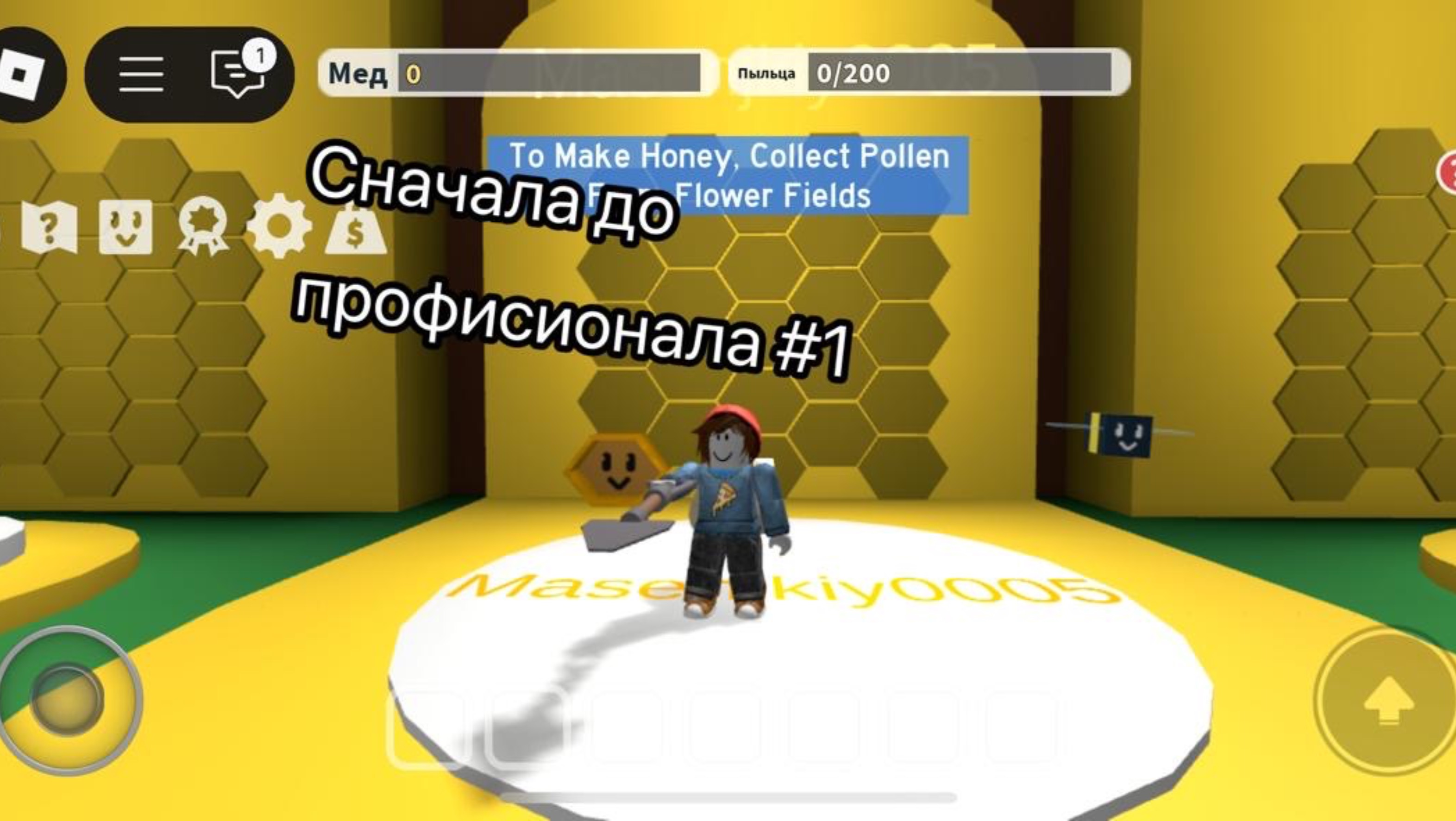 Сначала до профисионала