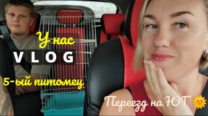 Переезд на ЮГ 🌞 У нас появился 5-ый питомец☺️ На Кубани засуха🍂