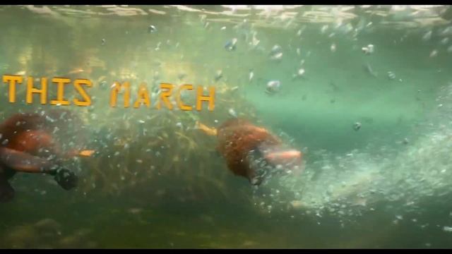 Прыгуны - Русский трейлер(дубляж) смотреть онлайн