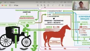 Раскрытие ПОТЕНЦИАЛА открывает новые возможности и перспективы, человек становится уникальным 💎