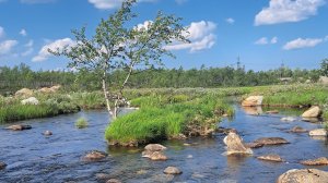 Красота северной природы/в лесу с подругами
