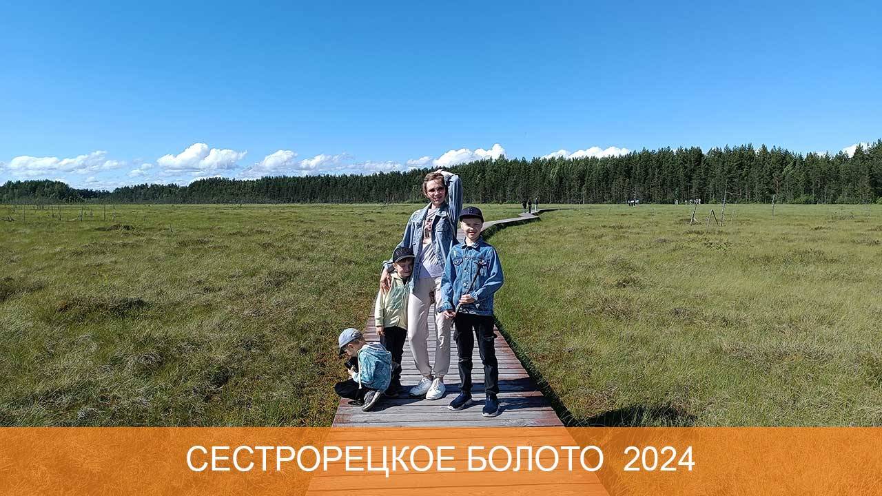 Сестрорецкое болото 2024 смотреть онлайн