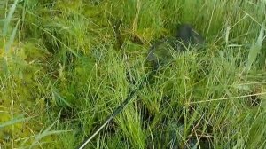 Рыбалка в Карелии