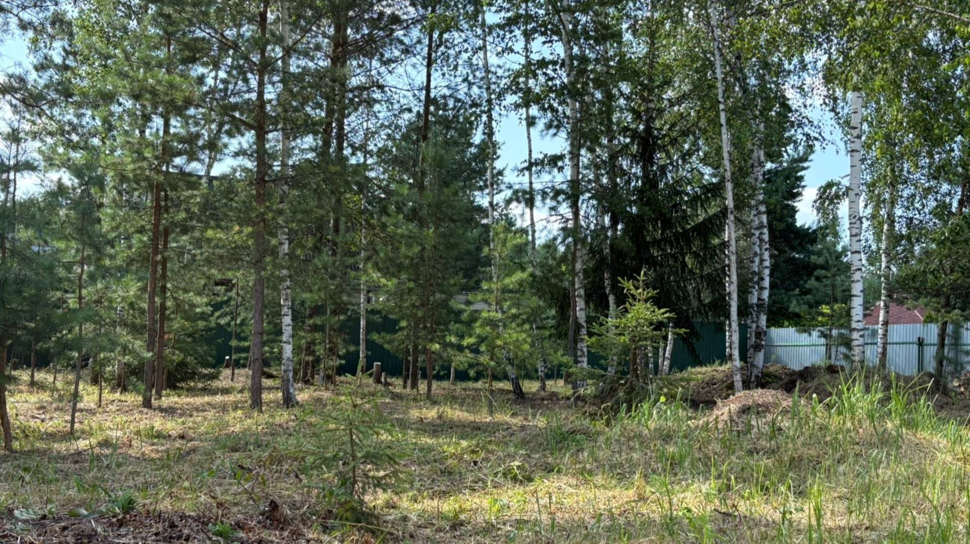 565. Участок 7 соток снт Источник, г. Электрогорск, Московская область смотреть онлайн