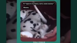 Пытаюсь жить просто
