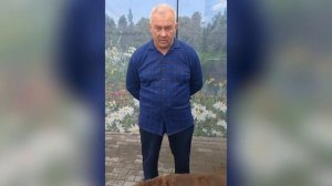 Судьба раненой коровы из Суджи