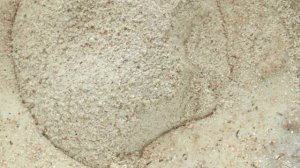 Гречневые блины заварные