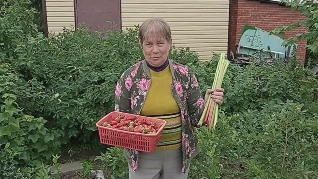 Ревень на нашей даче.mp4 смотреть онлайн