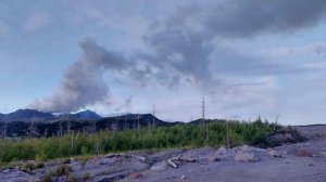 Три землетрясения магнитудой выше 5,0 зафиксировали на Камчатке