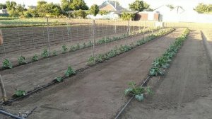 Адаптер+планировщик почвы (6-выпуск)