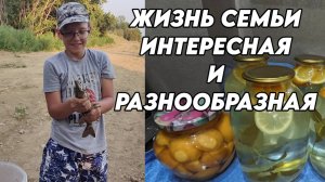 952 Рыбалка на Кубани/Заготовки на зиму/Мохито, кабачок в сиропе/Переехали с Урала на юг