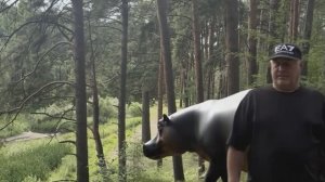 Тяжёлые будни жизни за Уралом.