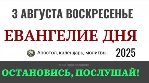 3 августа воскресенье Евангелие дня 2025 с толкованием #евангелие