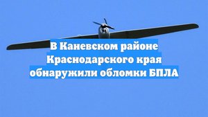 В Каневском районе Краснодарского края обнаружили обломки БПЛА