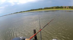 КАРАСЬ НА ЧЕРВЯ БУЗАН #fishing #shorts #рыбалка #carpfishing