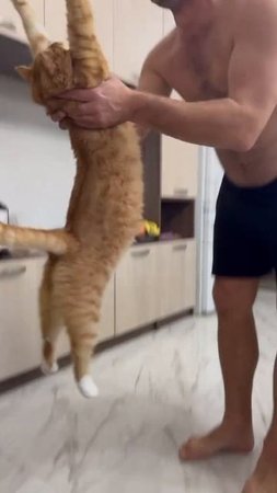 Обнимашки