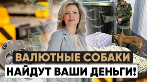 Декларация на таможне денег и драгоценностей | Собаки, сканеры и обыски на границе