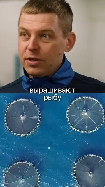 Раскрыли тайну! Зачем на атомных станциях по всей России выращивают рыбу? смотреть онлайн