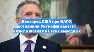 Постпред США при НАТО: посланник Уиткофф нанесет визит в Москву на этих выходных