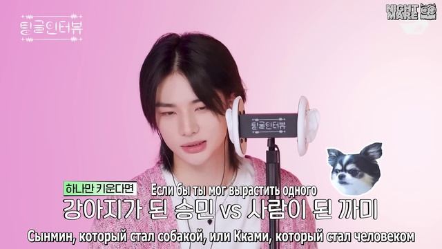 [рус.саб] [Tingle Interview] ASMR Хёнджина и Сынмина Stray Kids смотреть онлайн