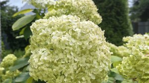 Прогулка по Речке | Красота ПРИРОДЫ