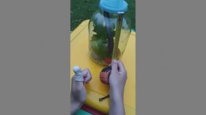 Под наблюдением испанские слизни!