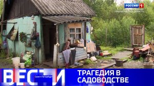 Вести Санкт-Петербург. Выпуск 20.50 от 02.08.2025