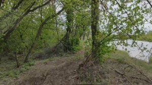 д.Ростислаевка, Ульяновская обл., май 2025