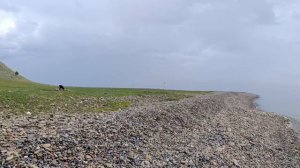 Бухта Крестовая. Конец июля.